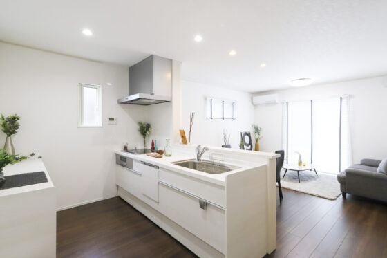 シンプルで暮らしやすい3LDK【EW-163-1】