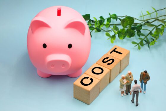 年収300万円から考える、頭金0で新築を購入するポイント